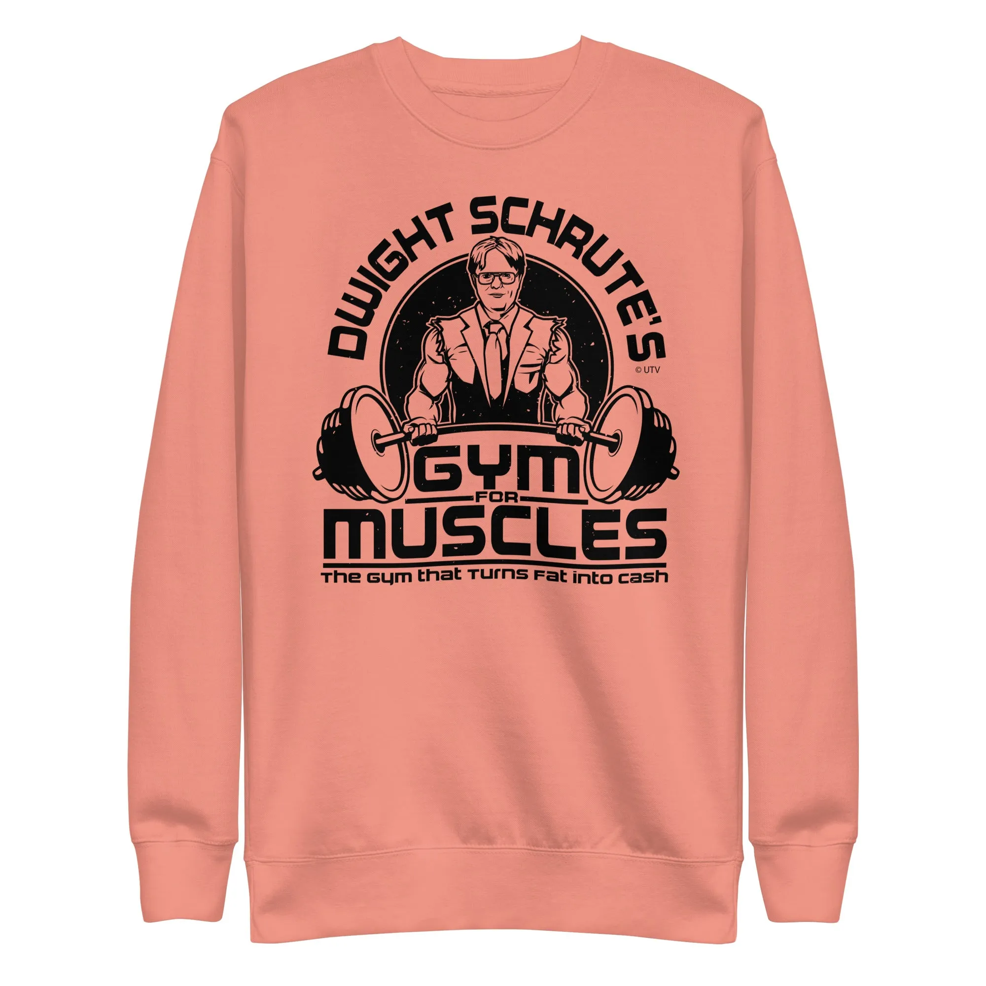 Gym For Muscles Unisex Premium Sweatshirt