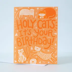 Holy Cats! Funny birthday card for a cat lover, birthday card for cat owner